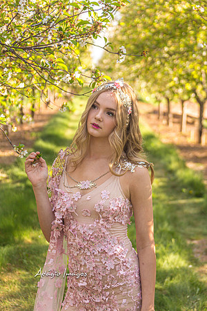 250503_Blossom_323