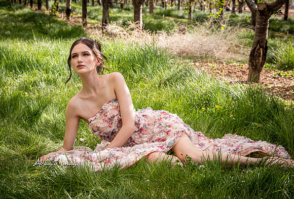 250503_Blossom_027