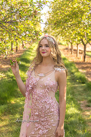 250503_Blossom_309