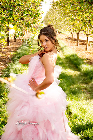 250503_Blossom_166