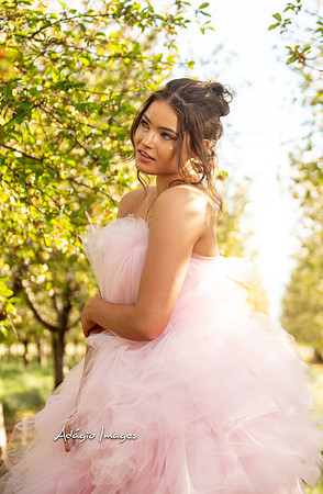 250503_Blossom_206