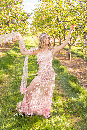 250503_Blossom_366