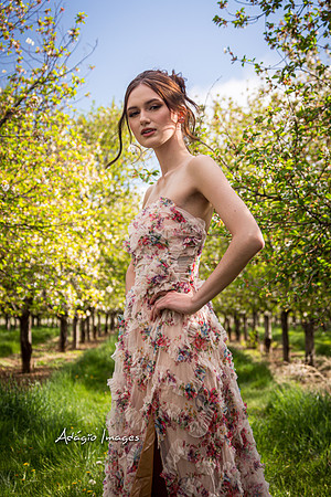 250503_Blossom_106