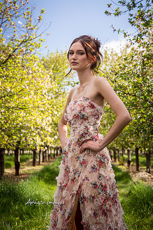 250503_Blossom_110