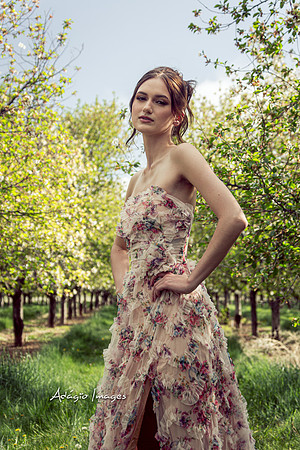 250503_Blossom_111