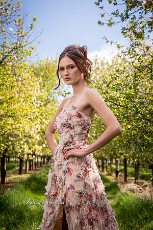 250503_Blossom_084