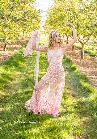 250503_Blossom_370