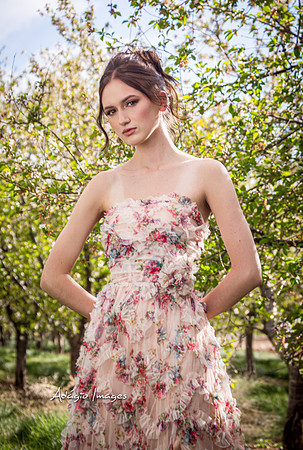 250503_Blossom_078